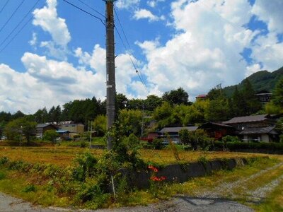 (値下げ) 長野県木曽郡王滝村 土地 173万円の国有財産物件 #2