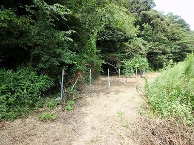 神奈川県逗子市 逗子駅14分 農地 43万円の国有財産物件 #3