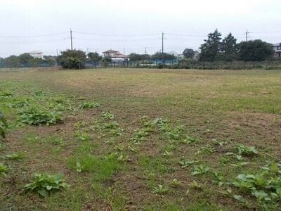 (値下げ) 埼玉県所沢市 狭山ヶ丘駅19分 農地 71万円の国有財産物件 #1