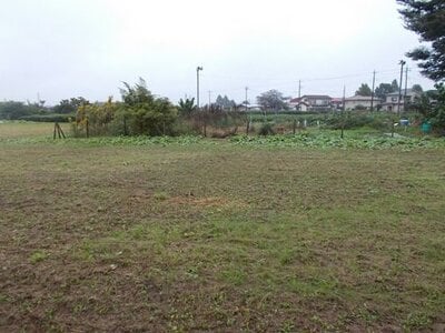 (値下げ) 埼玉県所沢市 狭山ヶ丘駅19分 農地 71万円の国有財産物件 #2
