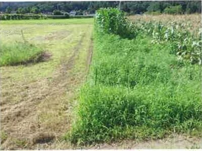 長野県塩尻市 塩尻駅15分 農地 55万円の競売物件 #6