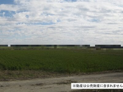 (値下げ) 千葉県柏市 柏たなか駅18分 農地 13万円の国税庁公売物件 #1