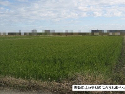 (値下げ) 千葉県柏市 柏たなか駅18分 農地 13万円の国税庁公売物件 #2