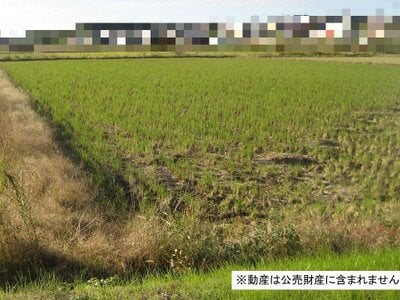 千葉県我孫子市 新木駅9分 農地 14万円の国税庁公売物件 #1
