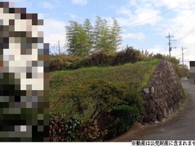 山梨県笛吹市 勝沼ぶどう郷駅 農地 26万円の国税庁公売物件 #1