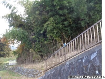 山梨県笛吹市 勝沼ぶどう郷駅 農地 26万円の国税庁公売物件 #2