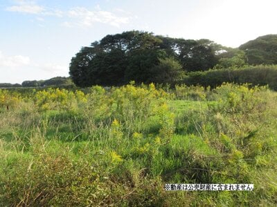 千葉県銚子市 椎柴駅28分 農地 34万円の国税庁公売物件 #1