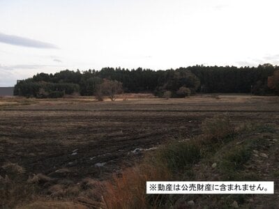 千葉県大網白里市 大網駅22分 農地 43万円の国税庁公売物件 #2