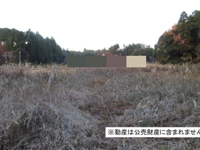 千葉県大網白里市 大網駅22分 農地 48万円の国税庁公売物件 #1