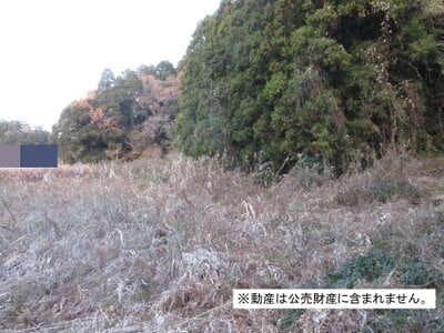 千葉県大網白里市 大網駅22分 農地 48万円の国税庁公売物件 #2