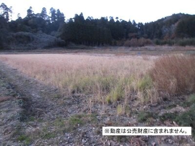 千葉県大網白里市 大網駅22分 農地 49万円の国税庁公売物件 #2