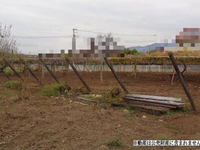 山梨県甲州市 塩山駅20分 農地 50万円の国税庁公売物件 #1
