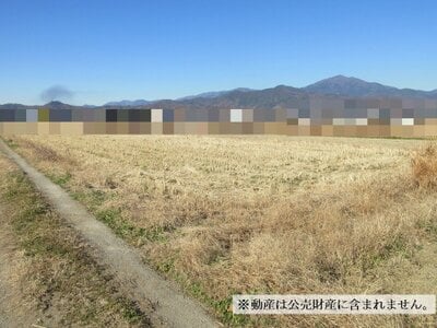 神奈川県平塚市 東海大学前駅18分 農地 100万円の国税庁公売物件 #2