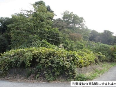 神奈川県横浜市保土ケ谷区 和田町駅16分 農地 2,010万円の国税庁公売物件 #1