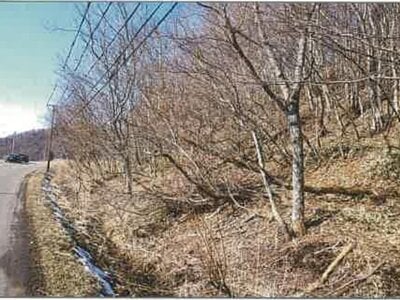 北海道浦河郡浦河町 土地 32万円の競売物件 #4