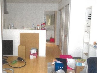 大阪府堺市東区 初芝駅11分 戸建て 965万円の競売物件 #3