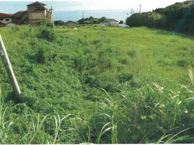 和歌山県東牟婁郡串本町 串本駅 土地 5,564万円の競売物件 #4