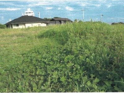 和歌山県東牟婁郡串本町 串本駅 土地 5,564万円の競売物件 #7