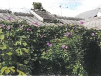 (値下げ) 香川県丸亀市 岡田駅 戸建て 73万円の競売物件 #18