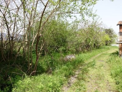 岐阜県海津市 石津駅17分 農地 7万円の国税庁公売物件 #2