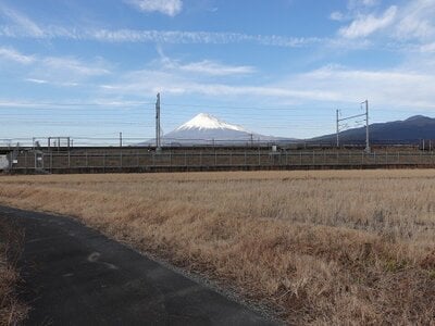 静岡県富士市 岳南富士岡駅15分 農地 54万円の国税庁公売物件 #1