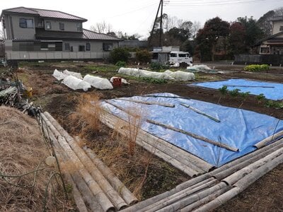 静岡県富士市 須津駅25分 農地 77万円の国税庁公売物件 #2