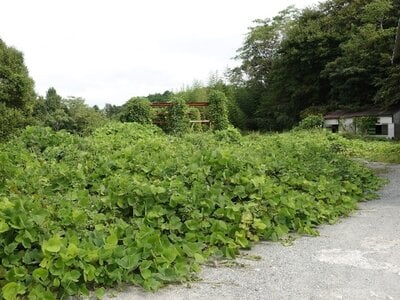 三重県多気郡明和町 多気駅25分 戸建て 875万円の国税庁公売物件 #4