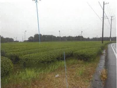 (値下げ) 静岡県牧之原市 農地 82万円の競売物件 #1