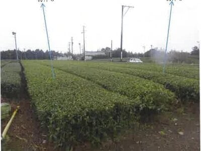 (値下げ) 静岡県牧之原市 農地 82万円の競売物件 #4