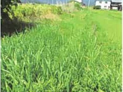 (値下げ) 滋賀県長浜市 高月駅24分 農地 122万円の競売物件 #10