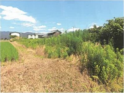 (値下げ) 滋賀県長浜市 高月駅24分 農地 122万円の競売物件 #12