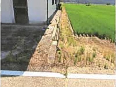 (値下げ) 滋賀県長浜市 高月駅24分 農地 122万円の競売物件 #4