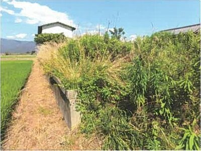(値下げ) 滋賀県長浜市 高月駅24分 農地 122万円の競売物件 #8