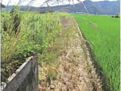 (値下げ) 滋賀県長浜市 高月駅24分 農地 122万円の競売物件 #9
