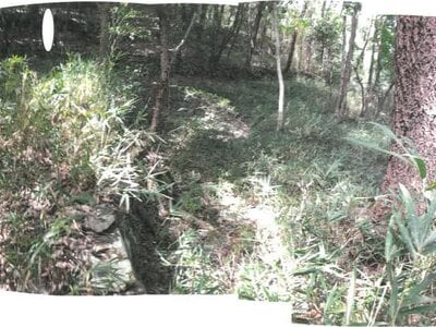 香川県小豆郡土庄町 農地 25万円の競売物件 #1
