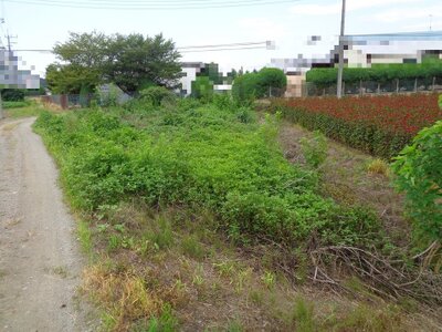 (値下げ) 埼玉県深谷市 武川駅8分 農地 3万円の国税庁公売物件 #2