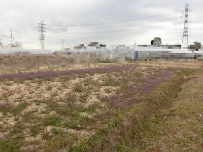 (値下げ) 埼玉県吉川市 江戸川台駅 農地 10万円の国税庁公売物件 #1