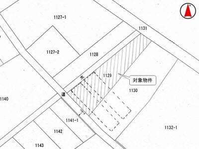 (値下げ) 埼玉県吉川市 江戸川台駅 農地 10万円の国税庁公売物件 #3
