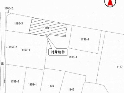 栃木県小山市 結城駅 農地 13万円の国税庁公売物件 #3