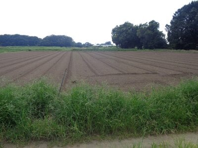 (値下げ) 埼玉県深谷市 武川駅8分 農地 33万円の国税庁公売物件 #2