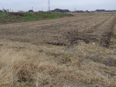 (値下げ) 埼玉県春日部市 南桜井駅23分 農地 42万円の国税庁公売物件 #1