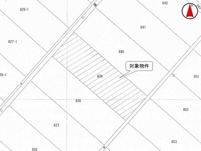 (値下げ) 埼玉県春日部市 南桜井駅23分 農地 42万円の国税庁公売物件 #3