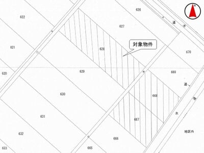 (値下げ) 埼玉県春日部市 南桜井駅23分 農地 69万円の国税庁公売物件 #3