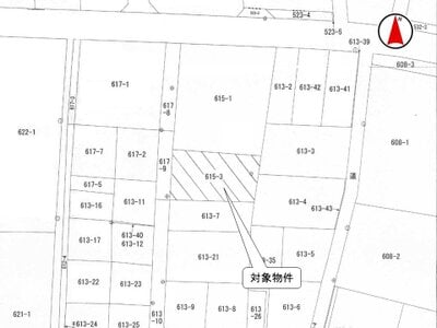(値下げ) 群馬県桐生市 相老駅10分 土地 199万円の国税庁公売物件 #3