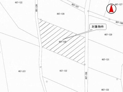長野県南佐久郡川上村 農地 250万円の国税庁公売物件 #3
