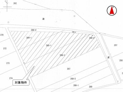 (値下げ) 秋田県秋田市 和田駅30分 土地 460万円の国税庁公売物件 #3