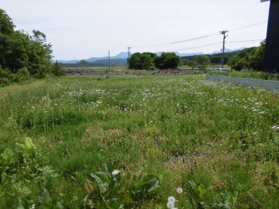 福島県南会津郡南会津町 田島高校前駅7分 土地 285万円の官公庁公売物件 #3