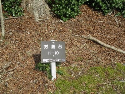 (値下げ) 静岡県伊東市 伊豆大川駅 土地 463万円の官公庁公売物件 #1