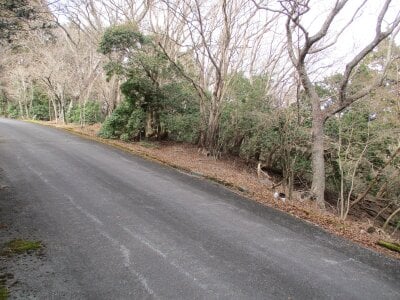 (値下げ) 静岡県伊東市 伊豆大川駅 土地 463万円の官公庁公売物件 #3