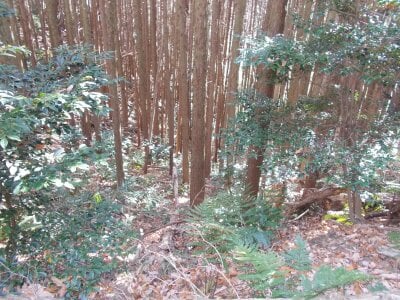 (値下げ) 奈良県生駒郡平群町 元山上口駅28分 土地 468万円の官公庁公売物件 #5